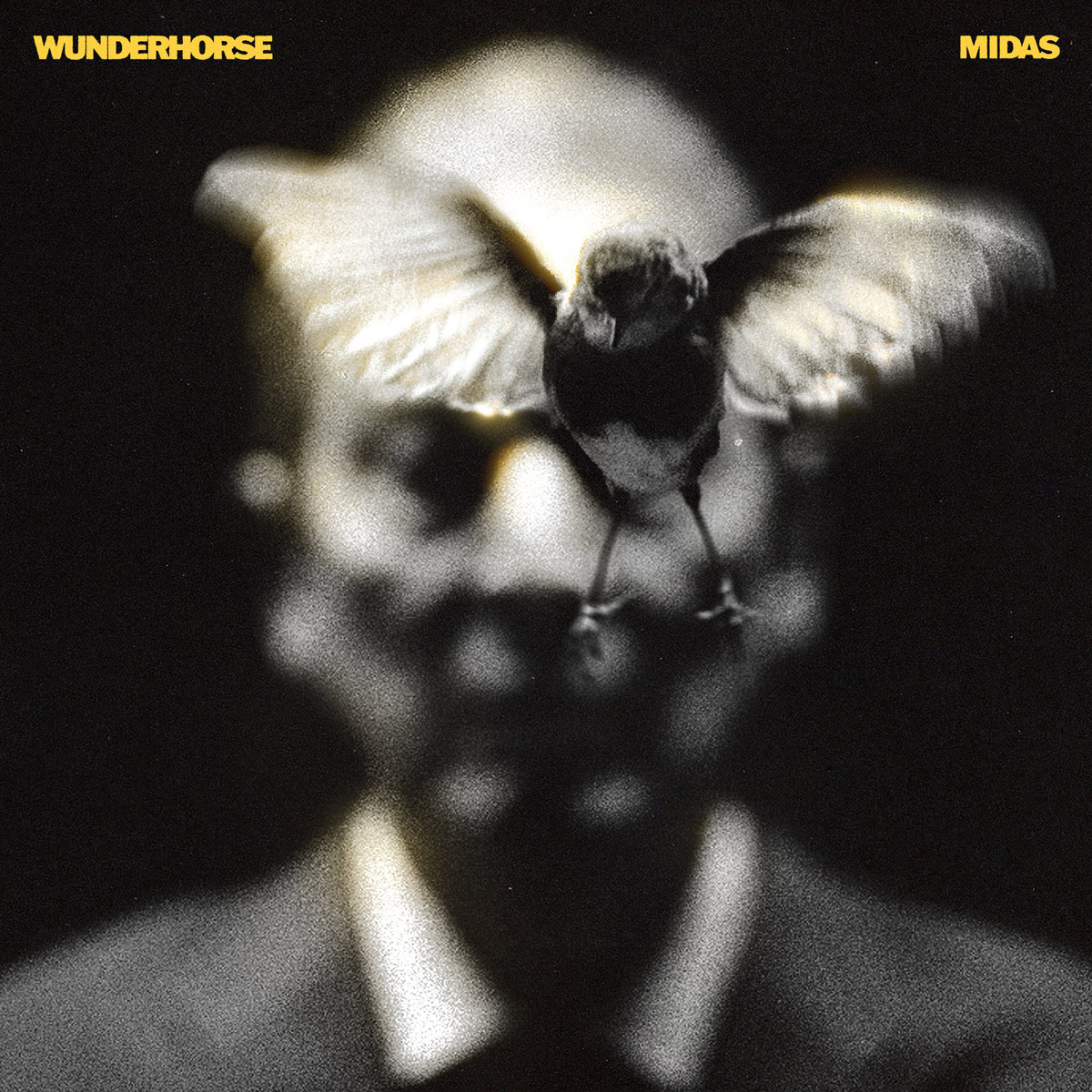 Rank number 47: 47. Wunderhorse – ‘Midas’