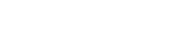 Wright Brothers plane logo in white next to the museum name