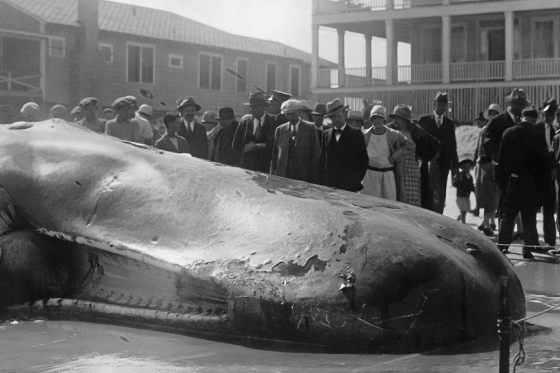 Look Again: Discovering Historical Photos